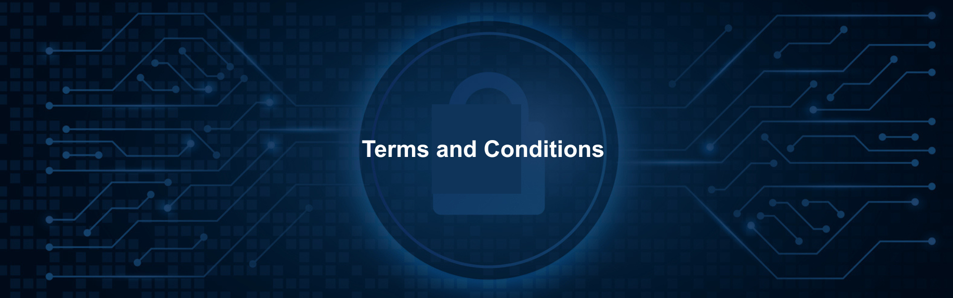 Terms and Conditions